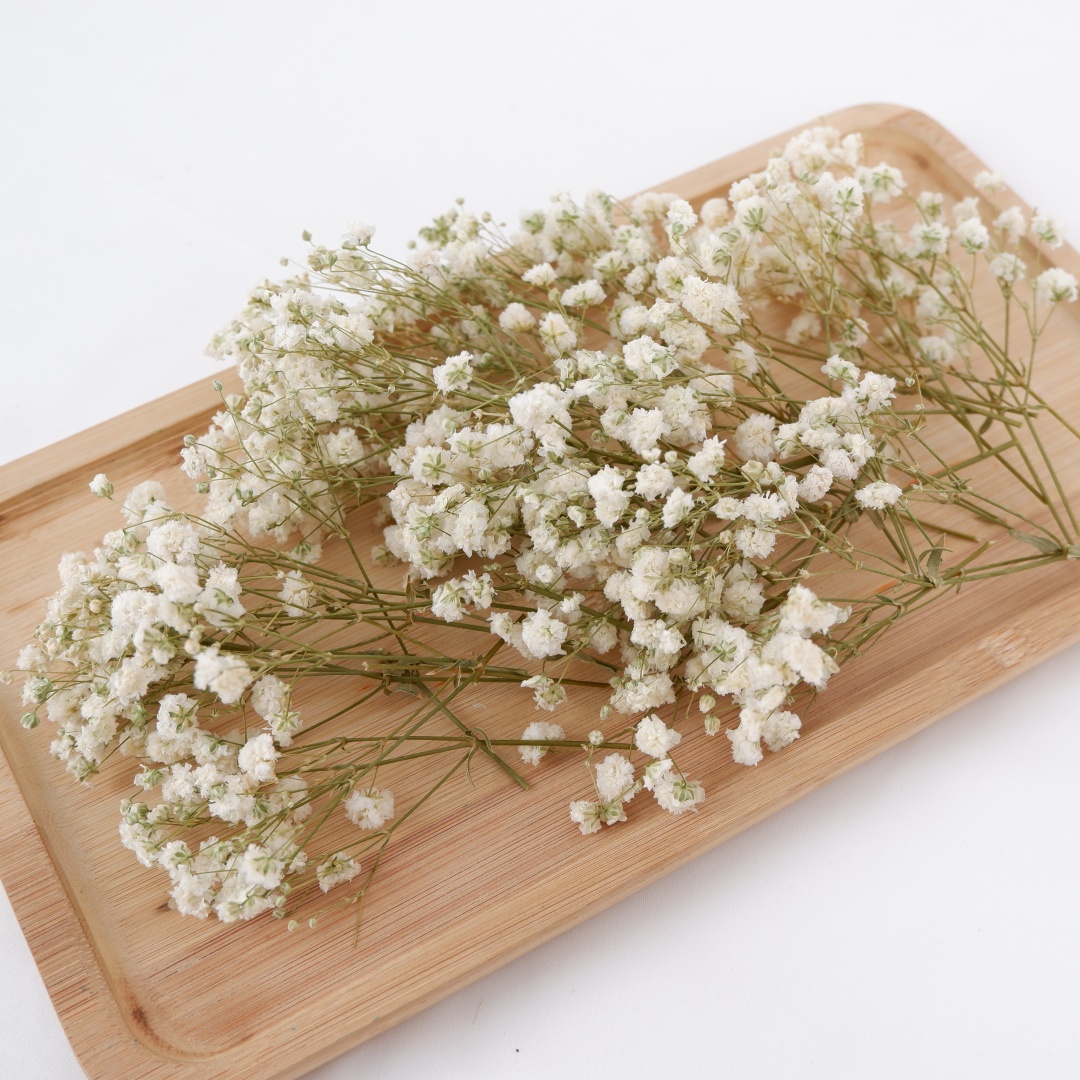 Baby Breath Dried - زهور مجففة بيضاء صغيرة مجففة للأطفال