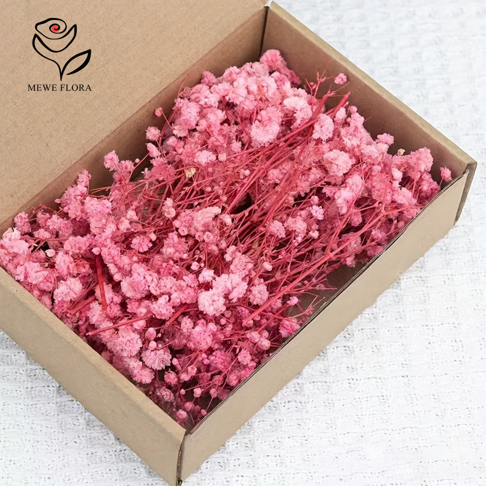 Baby Breath Dried - 100 فرع صغير زهور تنفس الطفل