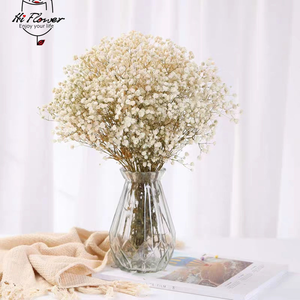 الزهور المجففة الطبيعية المحفو - مراجعة Baby Breath Dried وسعره