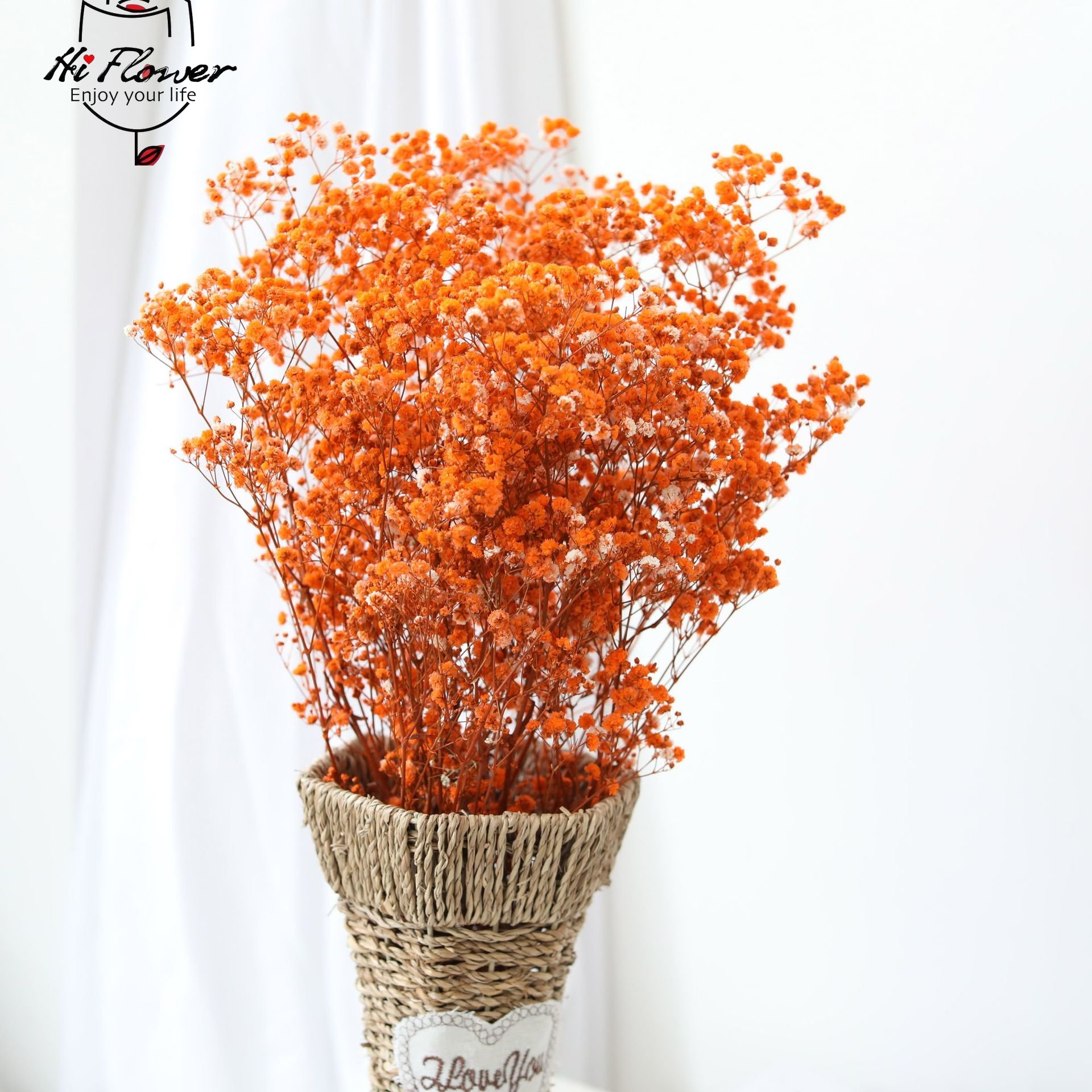 الزهور المجففة الطبيعية المحفو - مراجعة Baby Breath Dried وسعره