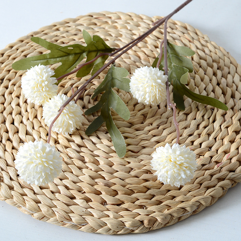 5 رؤساء الهندباء الزهور الاصطن - مراجعة Baby Breath Dried وسعره