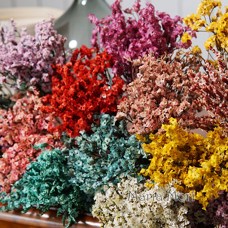 5 جرام/الملونة Dired الحفاظ عل - مراجعة Baby Breath Dried وسعره
