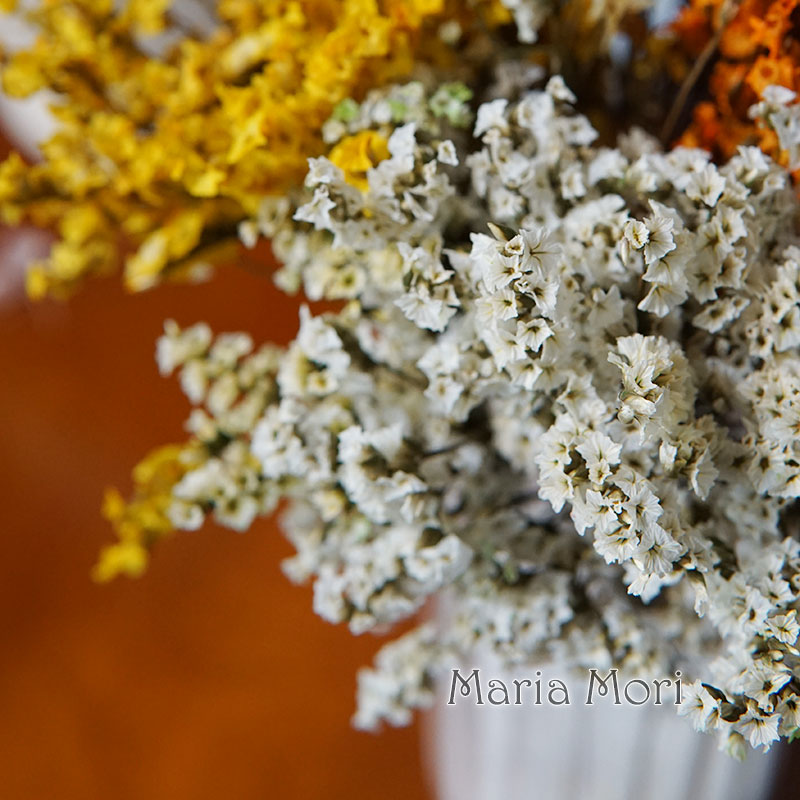 5 جرام/الملونة Dired الحفاظ عل - مراجعة Baby Breath Dried وسعره