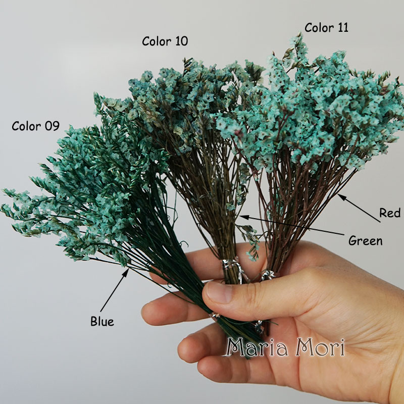 5 جرام/الملونة Dired الحفاظ عل - مراجعة Baby Breath Dried وسعره