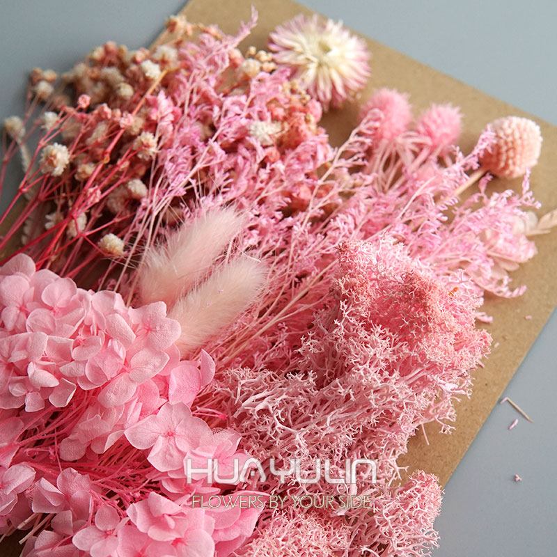 1 حزمة النباتات الاصطناعية الم - مراجعة Baby Breath Dried وسعره