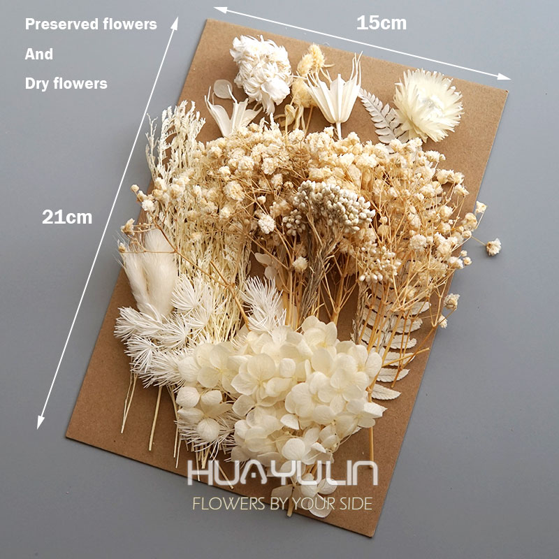 1 حزمة النباتات الاصطناعية الم - مراجعة Baby Breath Dried وسعره