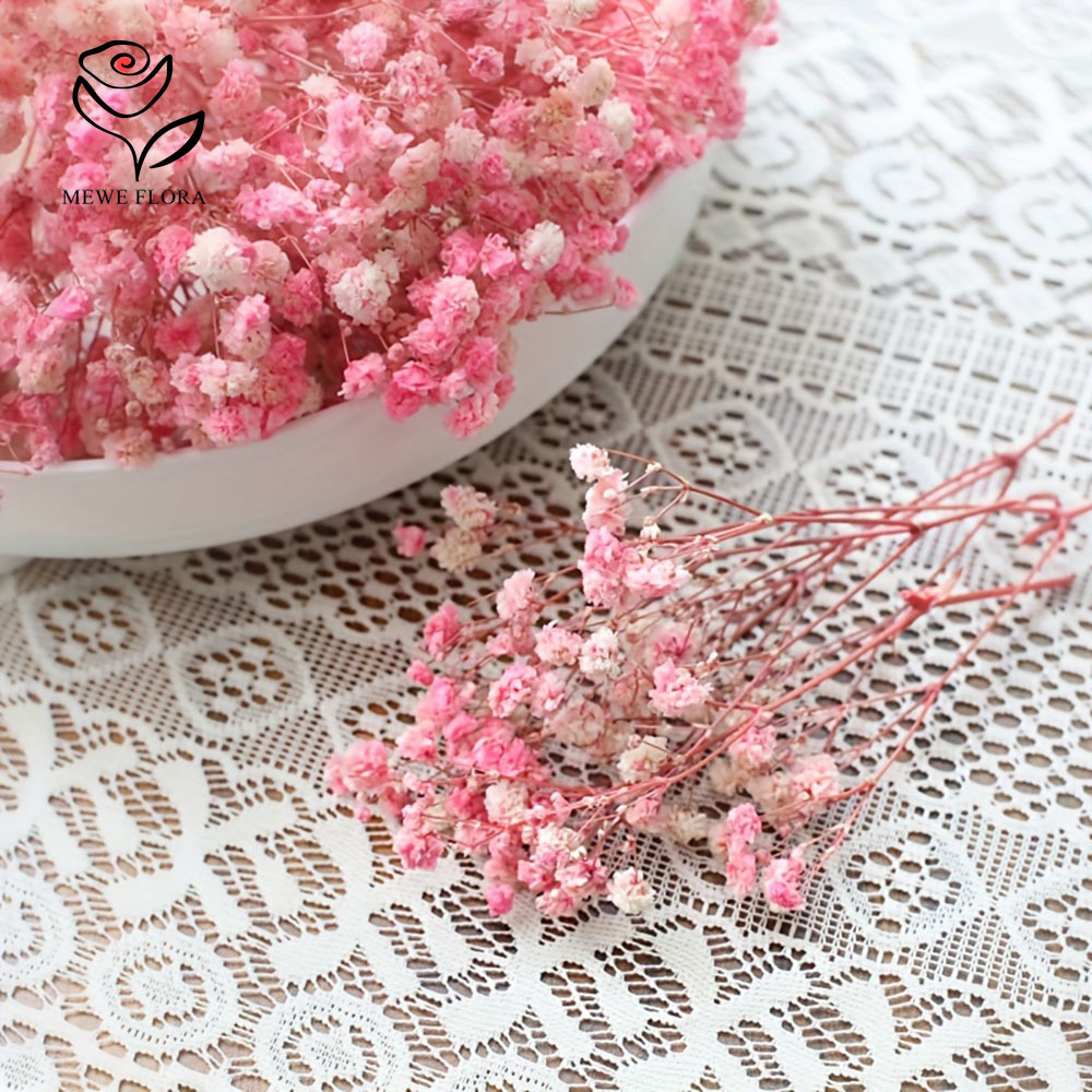 100 فرع صغير زهور تنفس الطفل ا - مراجعة Baby Breath Dried وسعره